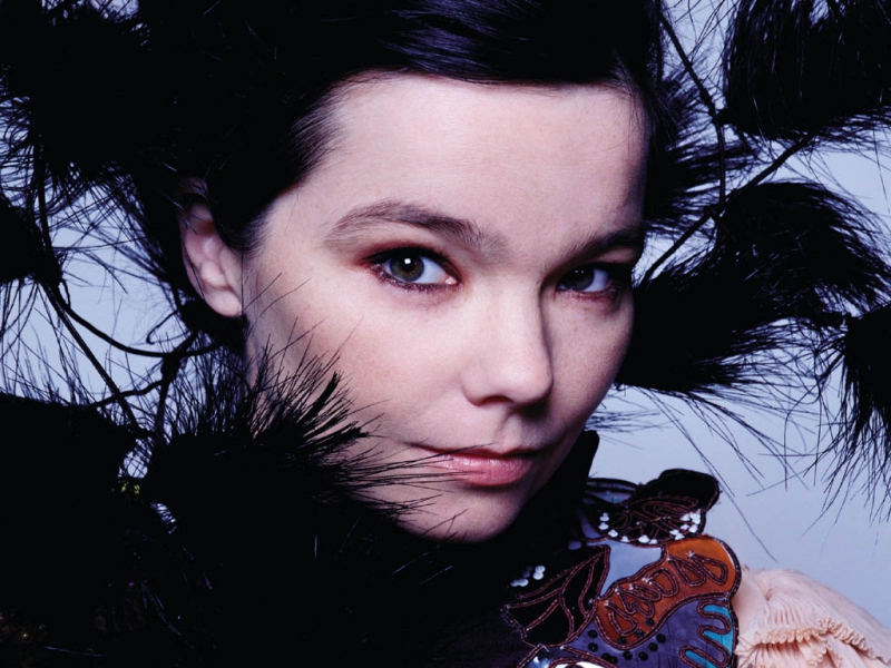 A legsikeresebb videoklipek: Björk