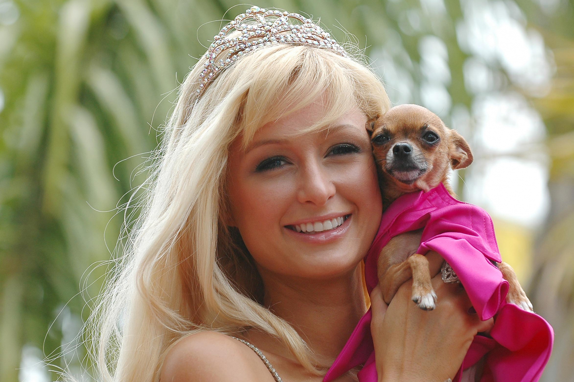 Elhunyt Paris Hilton kutyája