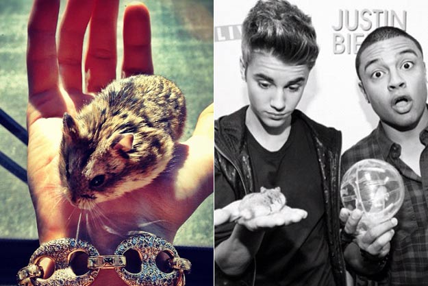 Justin Bieber rajongójára testálta  hörcsögét