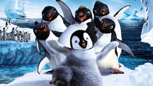 Újra táncra perdülnek a pingvinek!