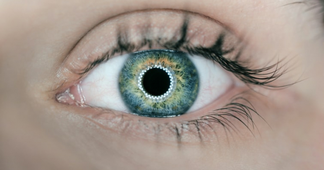 szem műtét ára antioxidáns anti aging