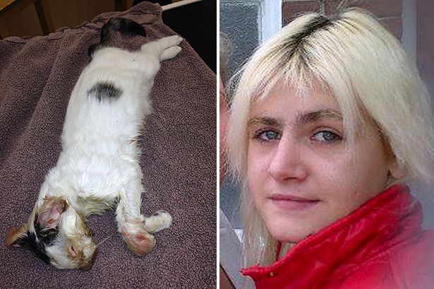 14 hónap börtönt kapott a macskáját megmikrózott nő