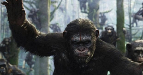Tarolt a mozikban A majmok bolygója – Forradalom