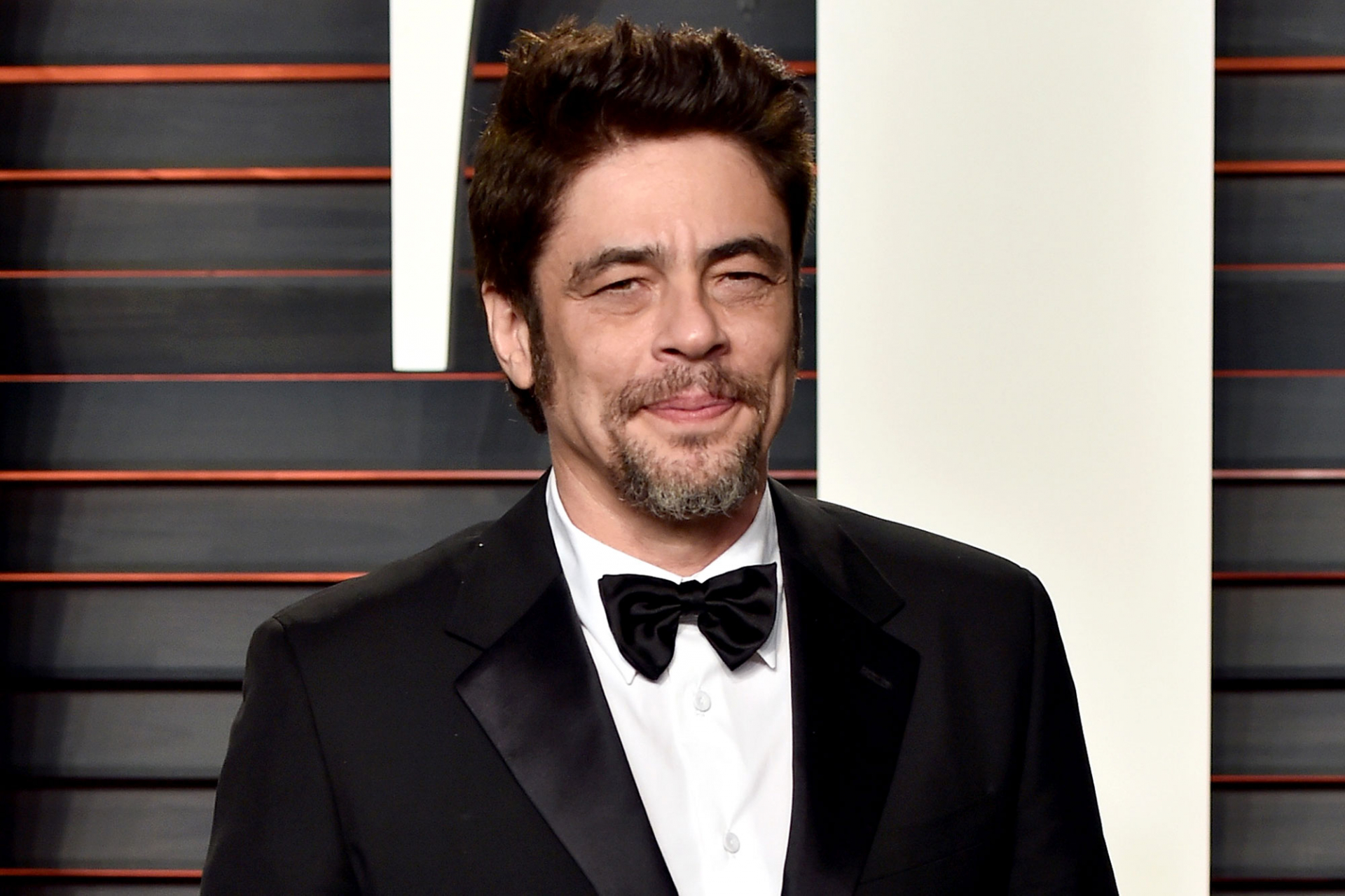 Benicio Del Toro Cannes-ben „elnököl”