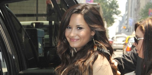 Demi Lovato anyukája is rehabon volt