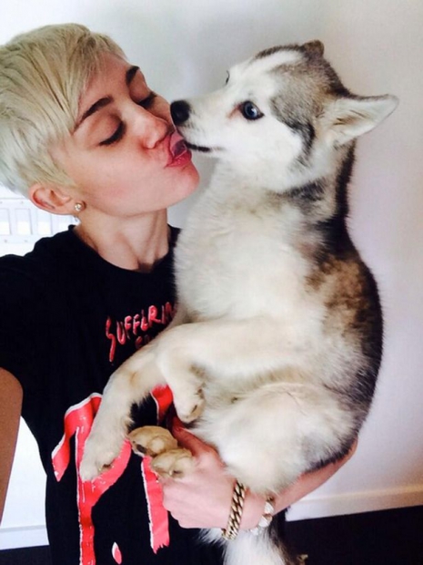 Egy éve vesztette el kutyusát Miley Cyrus