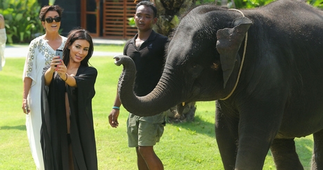 Elefánt ijesztett Kim Kardashianra