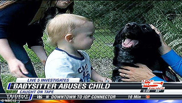 Kutyája mentette meg a babát bébiszittere bántalmazásától