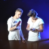 harry styles fan 13