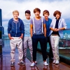 FanniDirectioner