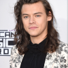 Timi Styles 13